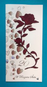 اسم الملف=KSR_05_10,5x21cm_ra_bordo.jpg
حجم الملف=247كيلوبايت
الأبعاد=983x1829
تاريخ الإضافه=يناير 31, 2018 KSR_05_10,5x21cm_ra_bordo.jpg